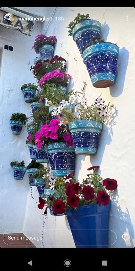 Mijas Pueblo Paradise Villa 말라가 외부 사진
