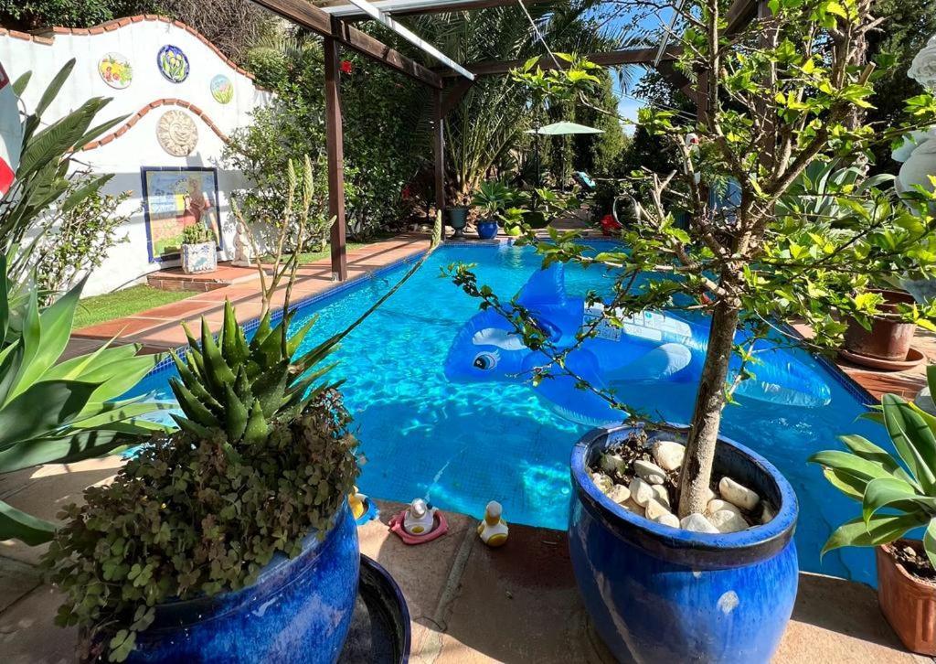 Mijas Pueblo Paradise Villa 말라가 외부 사진